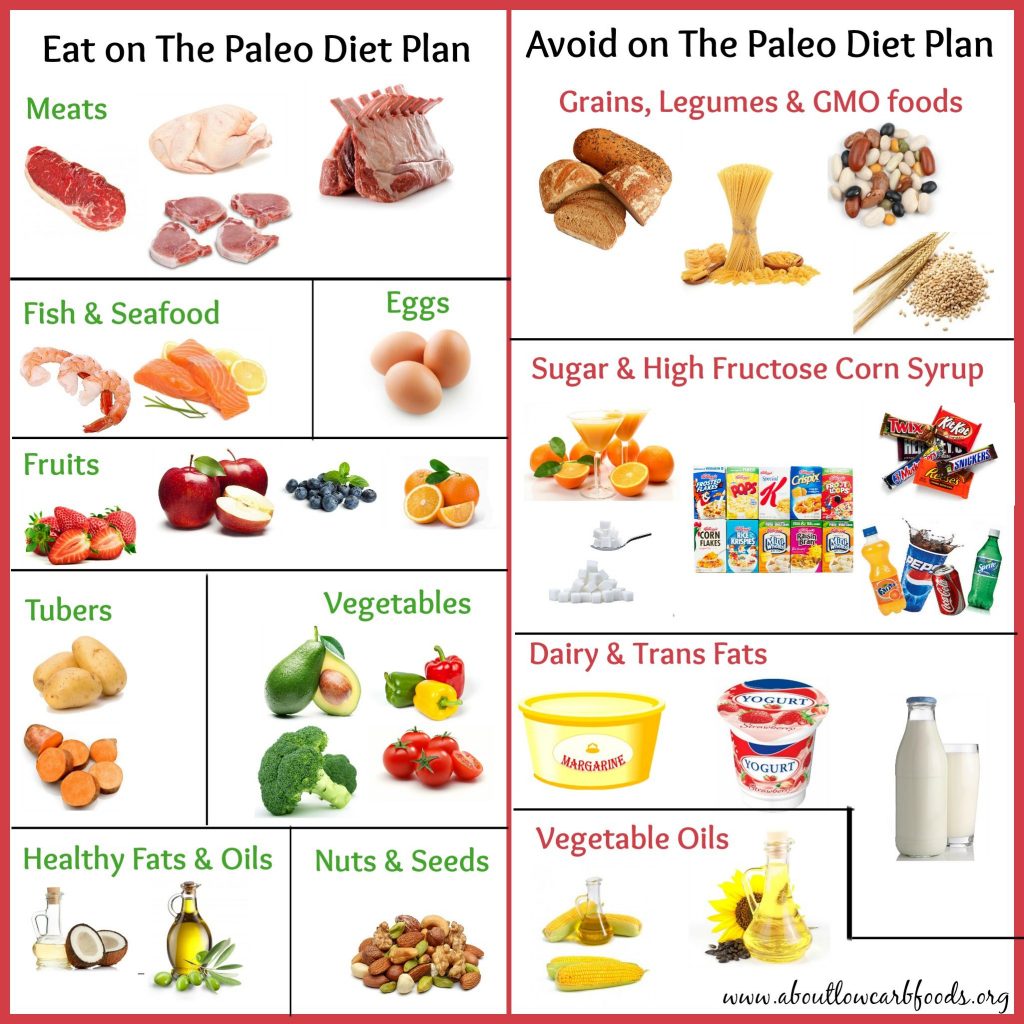 Paleo diet plan