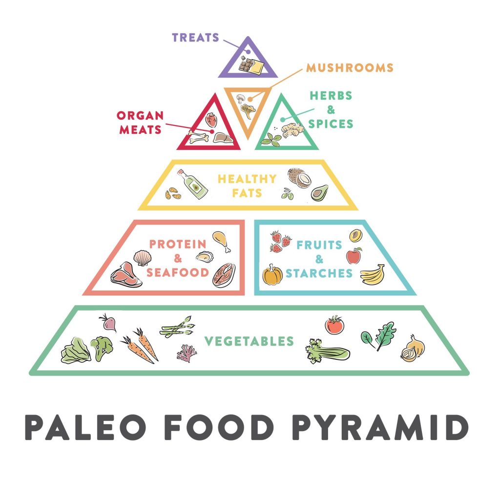 paleofoodpyramid