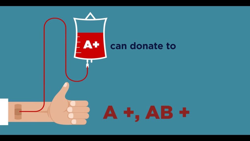 blood donation website