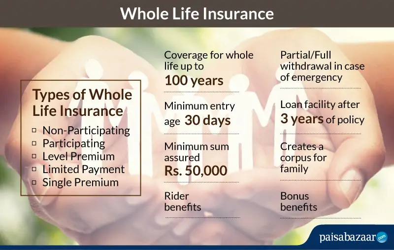 whole life insurance